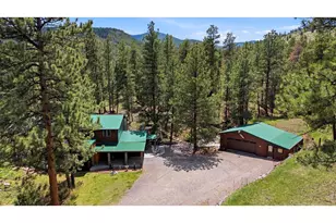 102 Insmont Dr, Bailey, CO 80421 - Photo 3