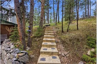 102 Insmont Dr, Bailey, CO 80421 - Photo 45