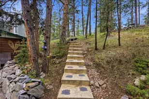 102 Insmont Dr, Bailey, CO 80421 - Photo 45