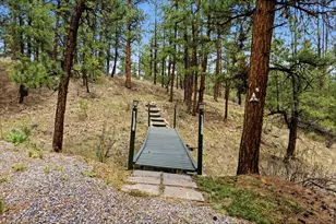 102 Insmont Dr, Bailey, CO 80421 - Photo 43