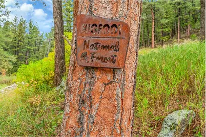 5567 Lefthand Canyon Dr, Jamestown, CO 80455 - Photo 9