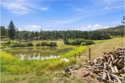 14133 Rist Canyon Rd, Bellvue, CO 80512 - Photo 1