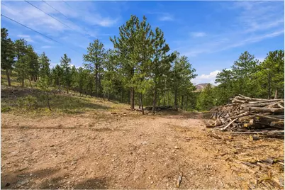 14133 Rist Canyon Rd, Bellvue, CO 80512 - Photo 29