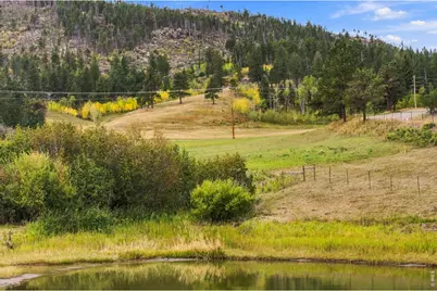 14133 Rist Canyon Rd, Bellvue, CO 80512 - Photo 3