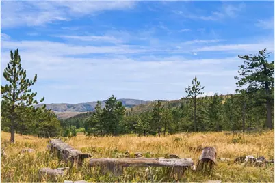 14133 Rist Canyon Rd, Bellvue, CO 80512 - Photo 41