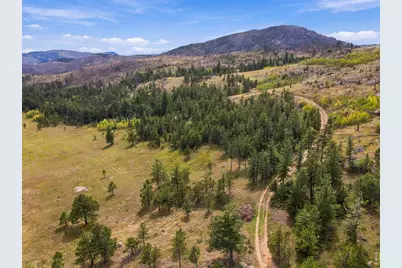 14133 Rist Canyon Rd, Bellvue, CO 80512 - Photo 23
