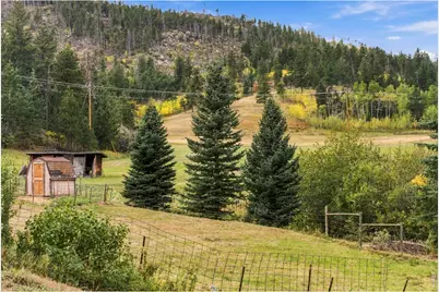 14133 Rist Canyon Rd, Bellvue, CO 80512 - Photo 5