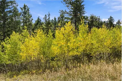 14133 Rist Canyon Rd, Bellvue, CO 80512 - Photo 43