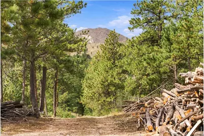 14133 Rist Canyon Rd, Bellvue, CO 80512 - Photo 35