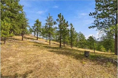 14133 Rist Canyon Rd, Bellvue, CO 80512 - Photo 31
