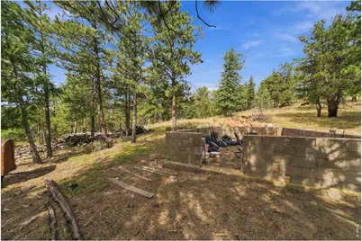 14133 Rist Canyon Rd, Bellvue, CO 80512 - Photo 33