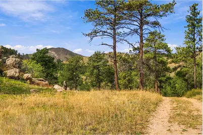 14133 Rist Canyon Rd, Bellvue, CO 80512 - Photo 39