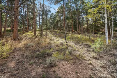 Tbd Juniper Ct, Red Feather Lakes, CO 80545 - Photo 9