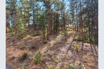 Tbd Juniper Ct, Red Feather Lakes, CO 80545 - Photo 13