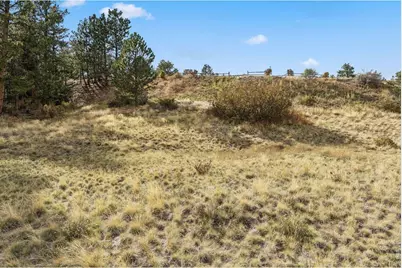 Tbd Juniper Ct, Red Feather Lakes, CO 80545 - Photo 5