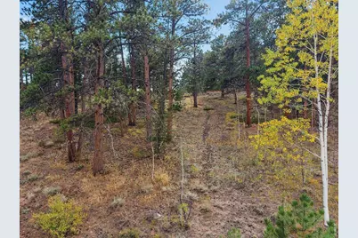 Tbd Juniper Ct, Red Feather Lakes, CO 80545 - Photo 11