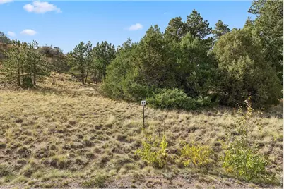 Tbd Juniper Ct, Red Feather Lakes, CO 80545 - Photo 15