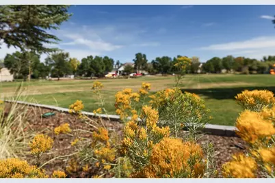 1702 Sicily Dr, Longmont, CO 80503 - Photo 39