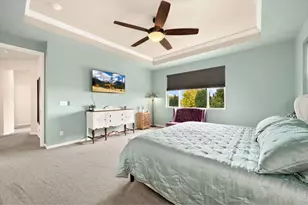 6101 Chesney Ct, Windsor, CO 80550 - Photo 37
