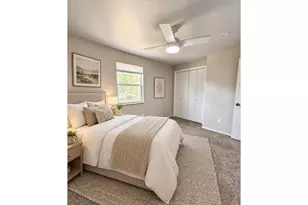 221 Chestnut St, Windsor, CO 80550 - Photo 23