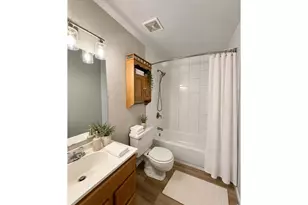 221 Chestnut St, Windsor, CO 80550 - Photo 19