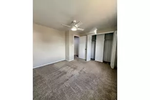 221 Chestnut St, Windsor, CO 80550 - Photo 15