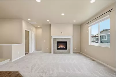 3858 Eucalyptus St, Wellington, CO 80549 - Photo 9