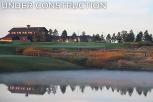 6226 Vernazza Way, Windsor, CO 80550 - Photo 29