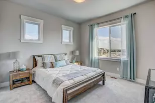 6226 Vernazza Way, Windsor, CO 80550 - Photo 13