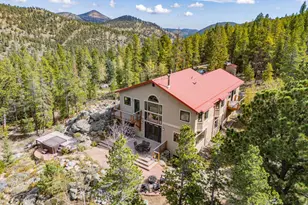 401 Shady Hollow, Nederland, CO 80466 - Photo 3