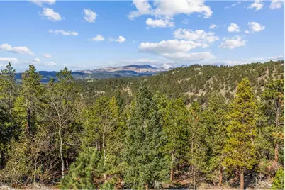401 Shady Holw, Nederland, CO 80466 - Photo 29