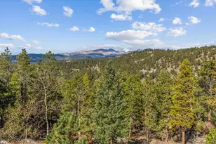 401 Shady Hollow, Nederland, CO 80466 - Photo 29