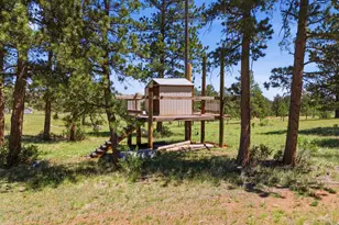 100 S Cucharas Mountain Ct, Livermore, CO 80536 - Photo 45