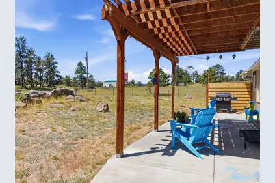 100 S Cucharas Mountain Ct, Livermore, CO 80536 - Photo 47