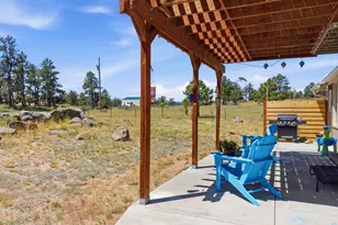 100 S Cucharas Mountain Ct, Livermore, CO 80536 - Photo 47