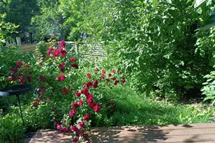 4009 Wonderland Hill Ave, Boulder, CO 80304 - Photo 39