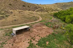 1004 Deer Meadow Way, Livermore, CO 80536 - Photo 47