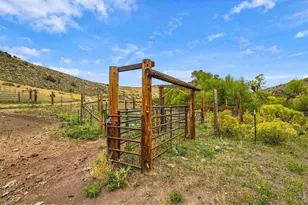 1004 Deer Meadow Way, Livermore, CO 80536 - Photo 43
