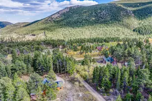 964 Ski Rd, Allenspark, CO 80510 - Photo 41