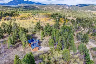 964 Ski Rd, Allenspark, CO 80510 - Photo 39