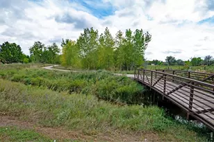 533 N Impala Dr, Fort Collins, CO 80521 - Photo 23