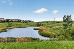 15993 Swan Mountain Dr, Broomfield, CO 80023 - Photo 45