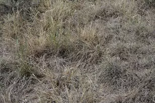 14801 Co Rd 8, Wiggins, CO 80654 - Photo 39