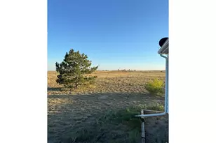 14801 Co Rd 8, Wiggins, CO 80654 - Photo 47