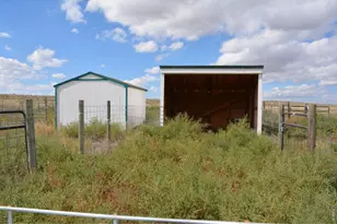 14801 Co Rd 8, Wiggins, CO 80654 - Photo 37
