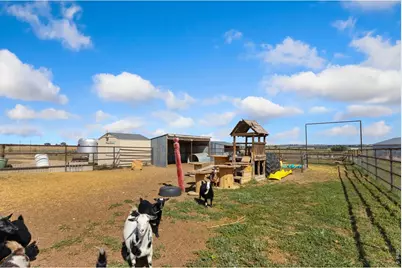 22645 County Road 70, Eaton, CO 80615 - Photo 11