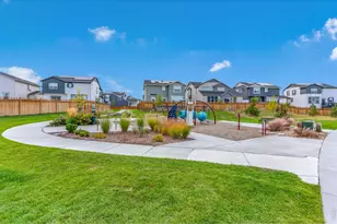 4392 Shivaree St, Timnath, CO 80547 - Photo 47