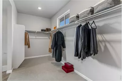 4392 Shivaree St, Timnath, CO 80547 - Photo 29