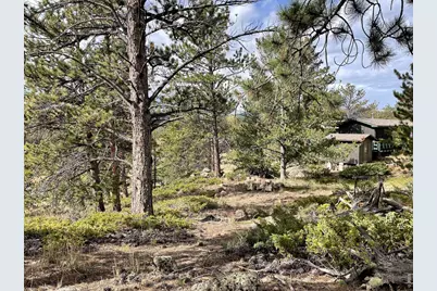 123 Tahlequah Way, Red Feather Lakes, CO 80545 - Photo 21