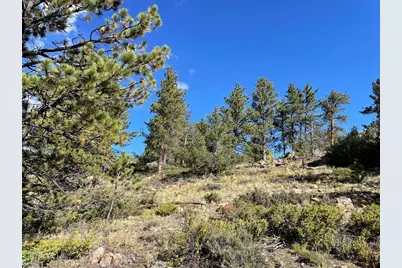 123 Tahlequah Way, Red Feather Lakes, CO 80545 - Photo 11